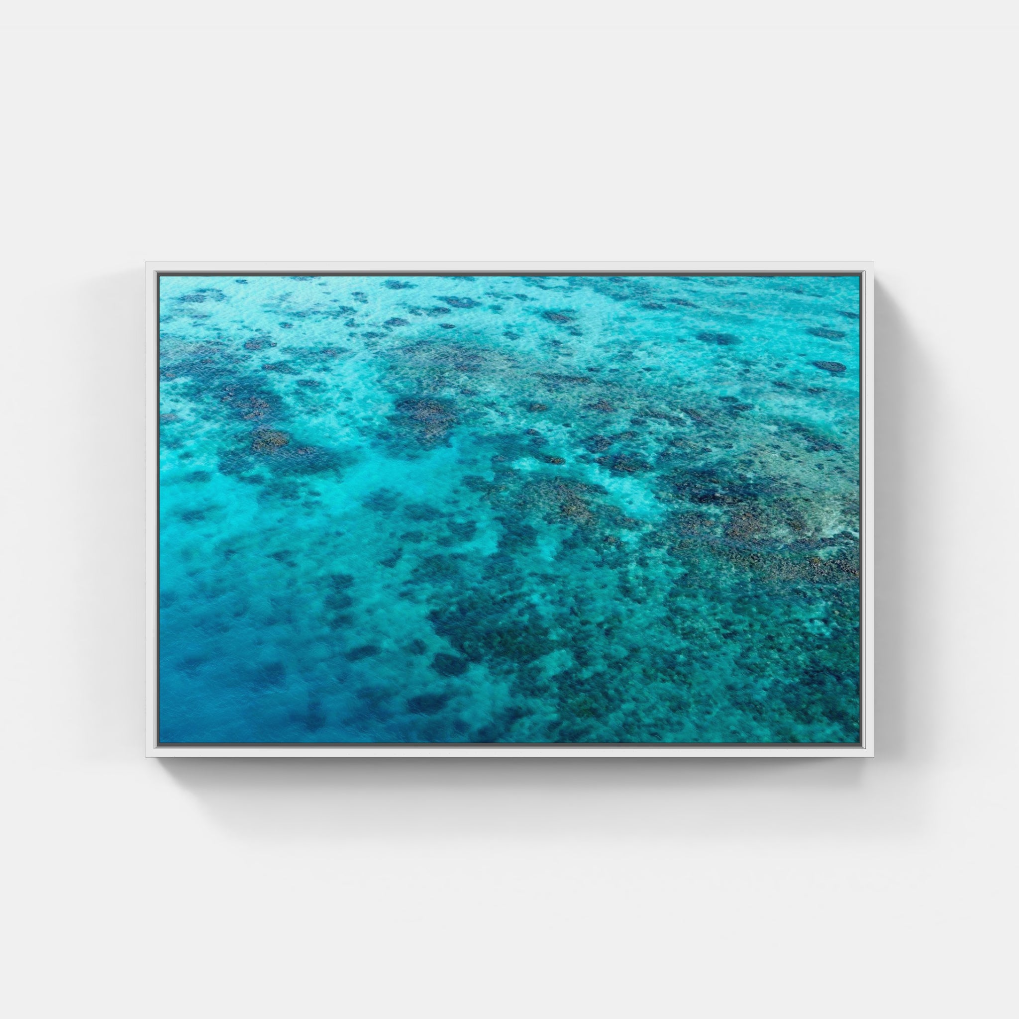 Culebrita Reef No 1