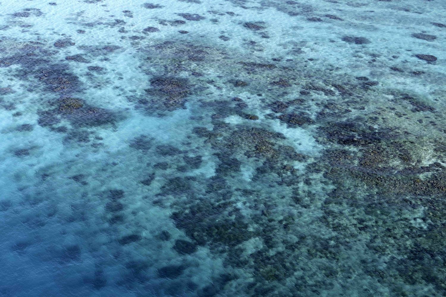Culebrita Reef No 1