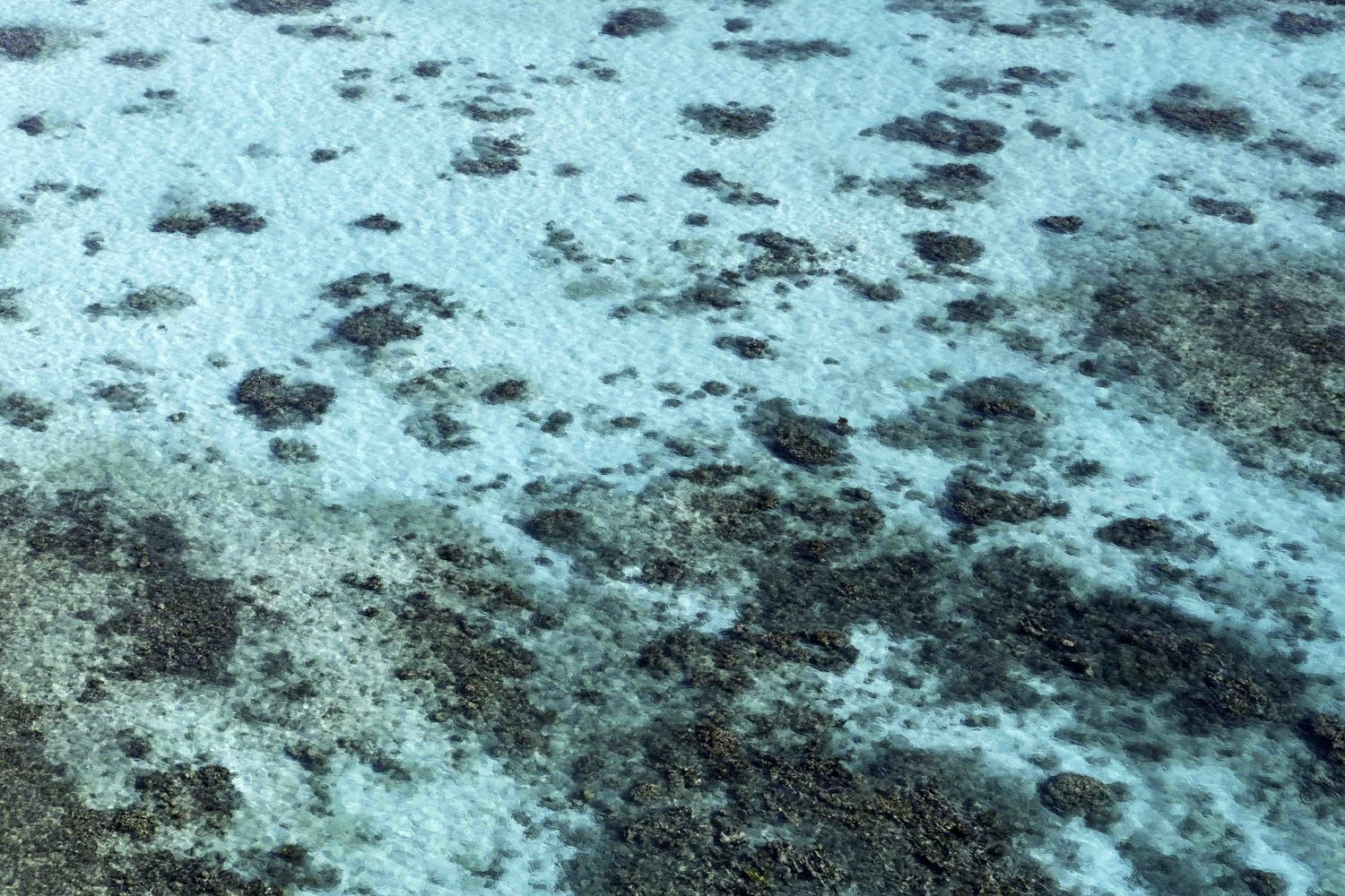Culebrita Reef No 2
